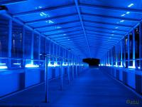 Blue17